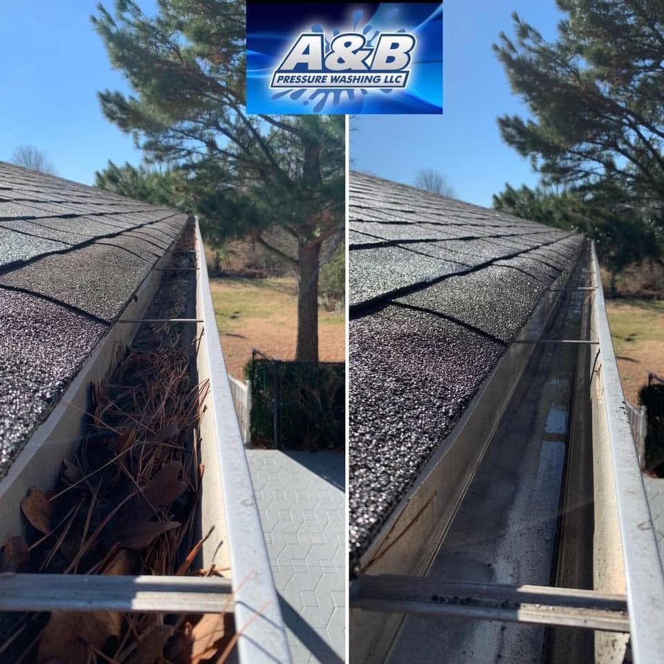 Gutter Cleaning